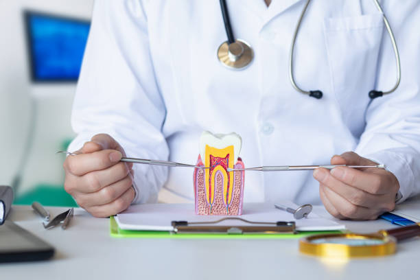 Best Emergency Dentist for Knocked-Out Tooth in Malvern, IA